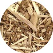 cedar bark
